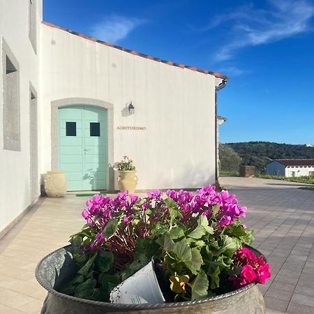 Tenute Testoni Agriturismo E B&B Bassacutena Exteriör bild