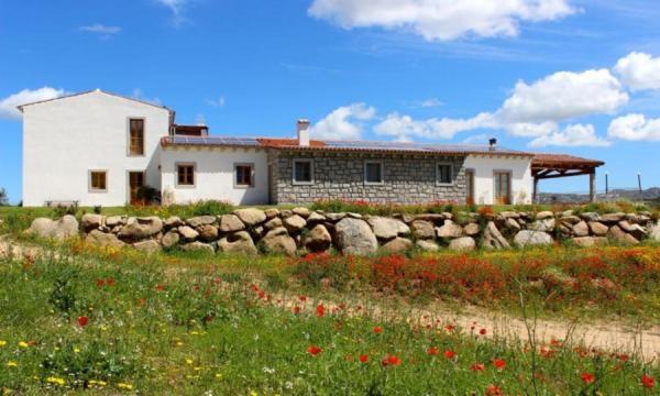 Tenute Testoni Agriturismo E B&B Bassacutena Exteriör bild