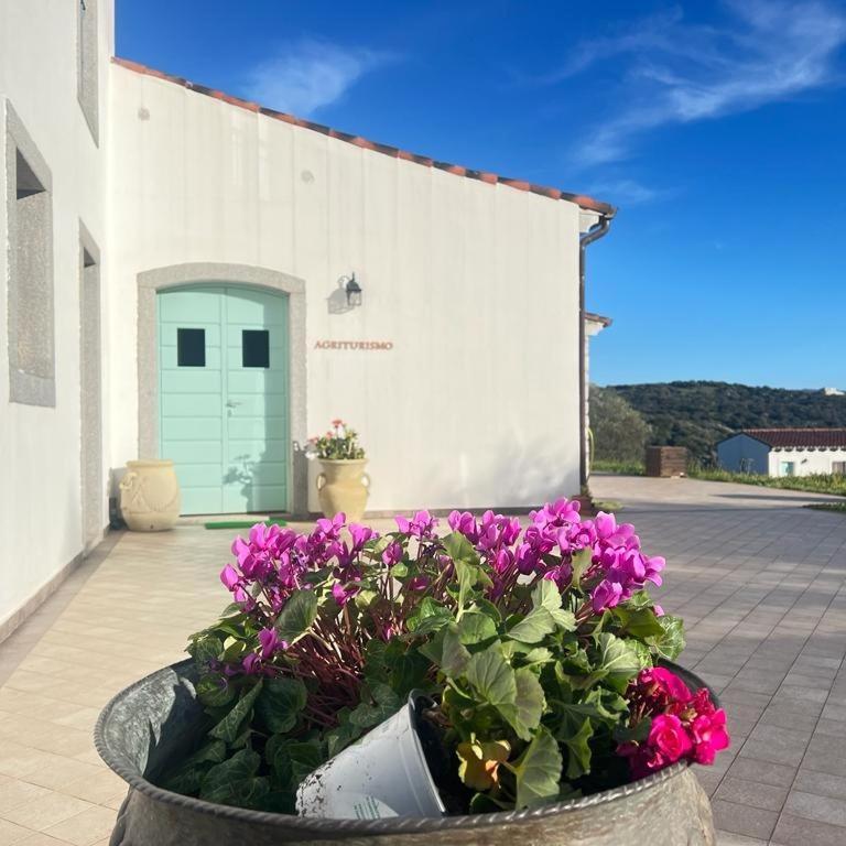 Tenute Testoni Agriturismo E B&B Bassacutena Exteriör bild